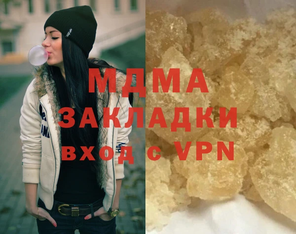 молекула духа Вяземский